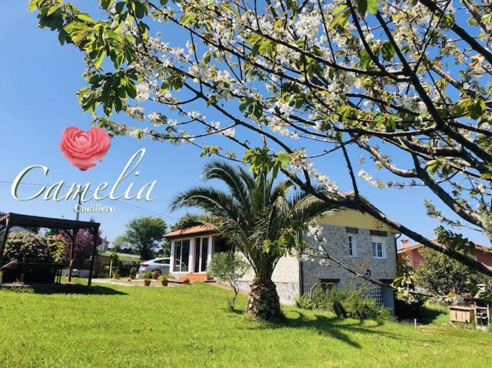 AlbuerneCamelia Casina Rural别墅 外观 照片